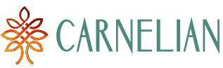 Carnelian Contra Portfolio Strategy